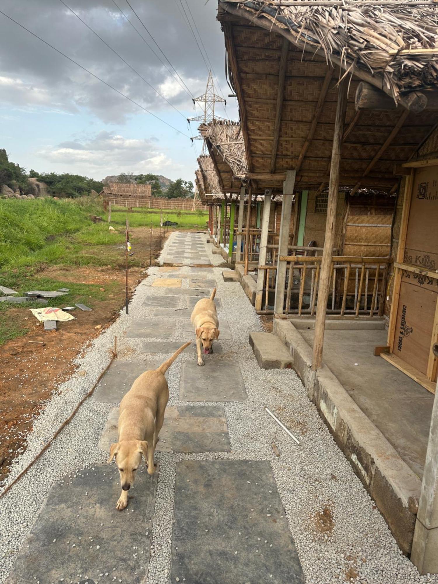 The Gravity Cafe -A Unit Of Staychillhampi Exterior foto